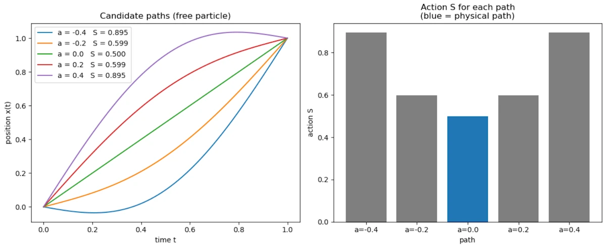 Among all candidate paths, the physical straight-line path has the minimum action