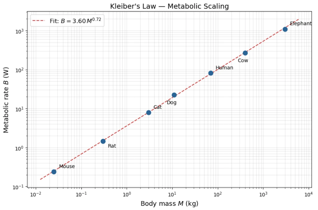 Haha moment with the log-log graph?