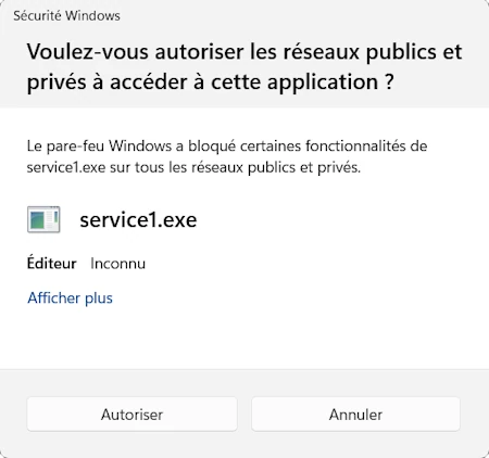 Do you want to allow this app to communicate on public and private networks?